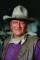 John Wayne as Michael Patrick  Guns  Donovan