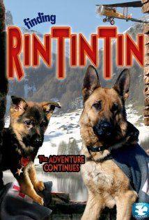 Finding Rin Tin Tin(2007) Movies