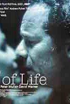 Kiss of Life(2003) Movies