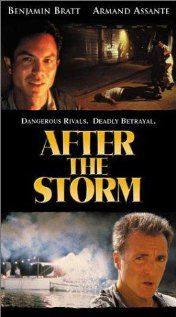 After the Storm(2001) Movies