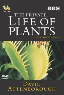 The Private Life of Plants(1995) Movies