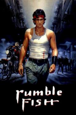 Rumble Fish(1983) Movies