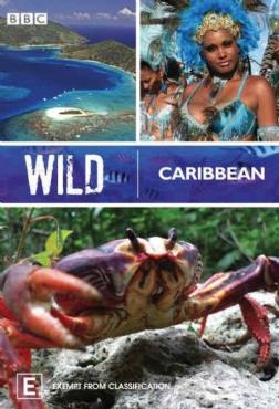 Wild Caribbean(2007) 