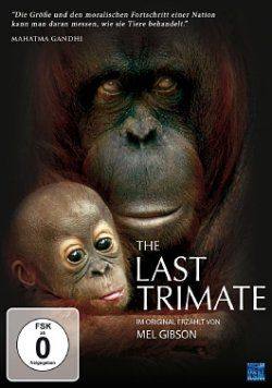 The Last Trimate(2008) Movies