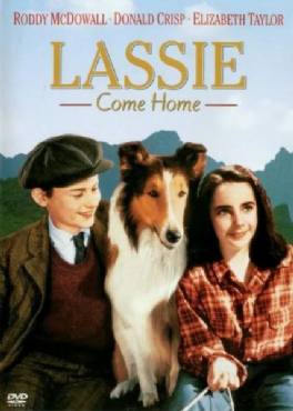 Lassie Come Home(1943) Movies