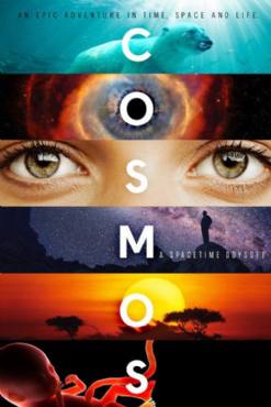 Cosmos: A SpaceTime Odyssey(2014) 