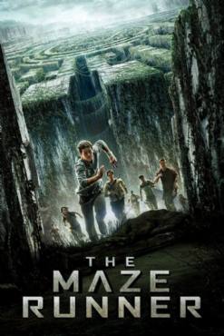 The Maze Runner(2014) Movies
