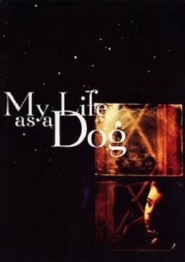 My Life As A Dog(1985) Movies