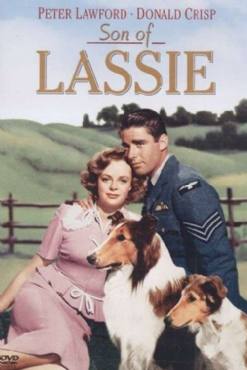 Son of Lassie(1945) Movies