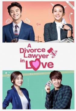 Divorce Lawyer in Love(2015) 