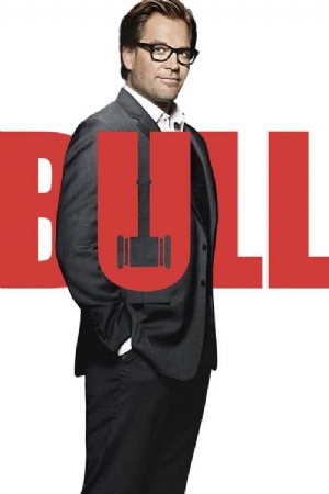 Bull(2016) 