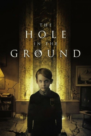 The Hole in the Ground(2019) Movies