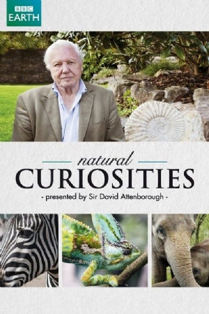 Natural Curiosities(2013) 