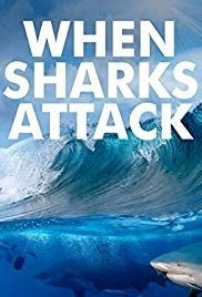 When Sharks Attack(2013) 