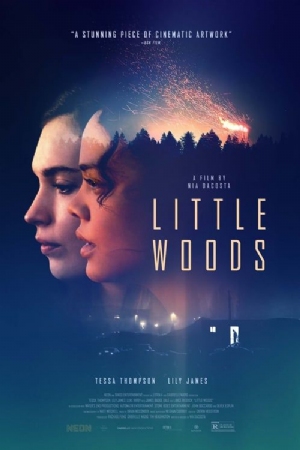 Little Woods(2018) Movies