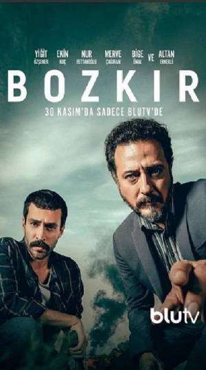 Bozkir(2018) 