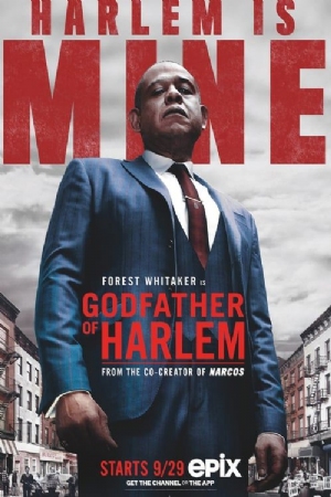 Godfather of Harlem(2019) 