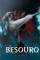 Besouro (2009)