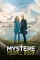 The Mystery of Henri Pick (2019)