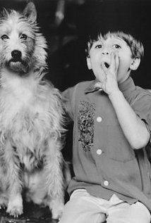 Seth Mumy