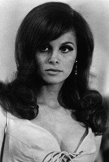 Lynn Loring