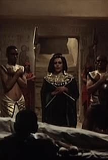 Laila Nasr
