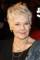 Judi Dench as 