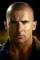 Dominic Purcell as 