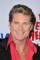 David Hasselhoff as 