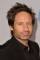 David Duchovny as 