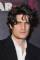 Louis Garrel as 