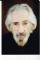 Larry Hankin as 