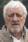 Bernard Cribbins as 