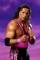 Bret Hart as Bret  The Hitman  Hart