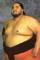 Rodney Anoai as Yokozuna (archive footage)