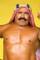 Khosrow Vaziri as The Iron Sheik