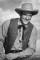 James Arness as 