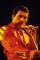 Freddie Mercury as 