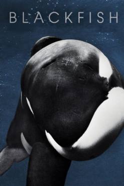 Blackfish(2013) Movies