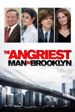 The Angriest Man in Brooklyn(2014) Movies