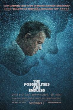 The Possibilities Are Endless(2014) Movies