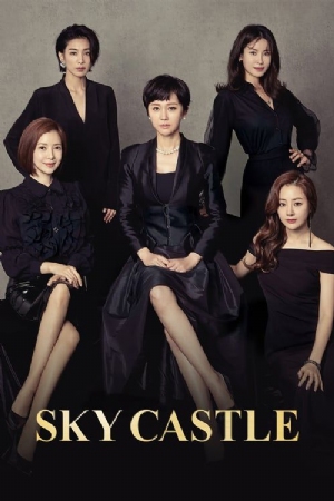 SKY Castle(2018) 