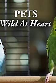 Pets: Wild at Heart(2015) 