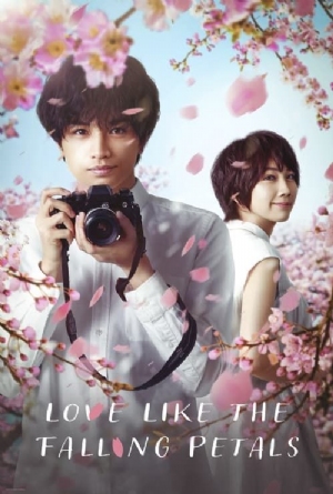 My Dearest, Like a Cherry Blossom(2022) Movies