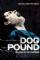 Dog Pound (2010)