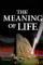 The Meaning of Life (1983)