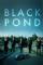 Black Pond (2011)