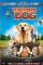 Dog Gone (2008)