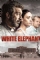 White Elephant (2012)