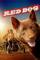 Red Dog (2011)